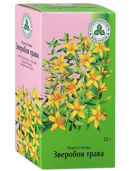 Зверобой