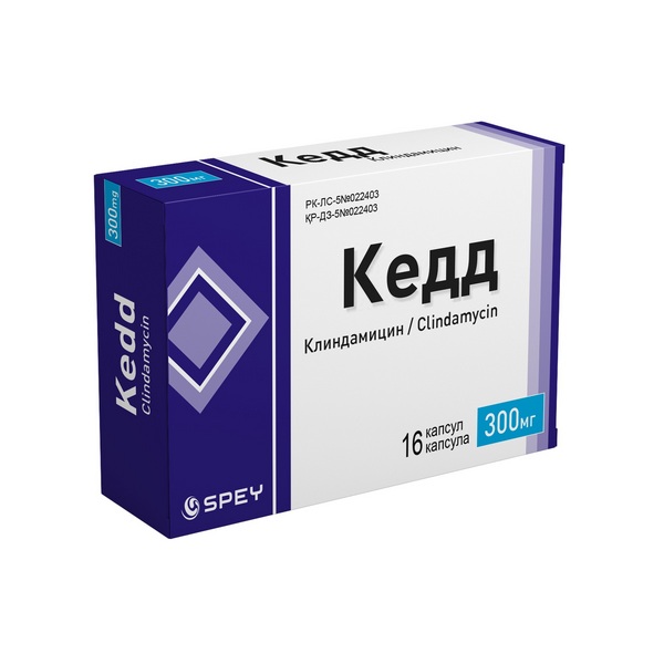 Кедд