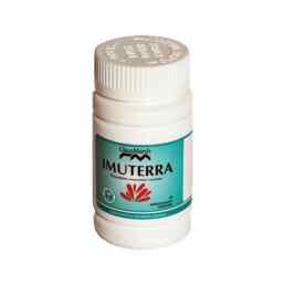 Имутерра