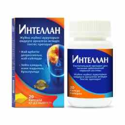 Интеллан