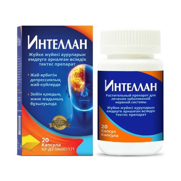 Интеллан