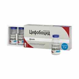 Цефобоцид