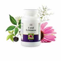 Эхинацея