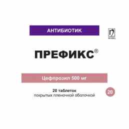 Префикс
