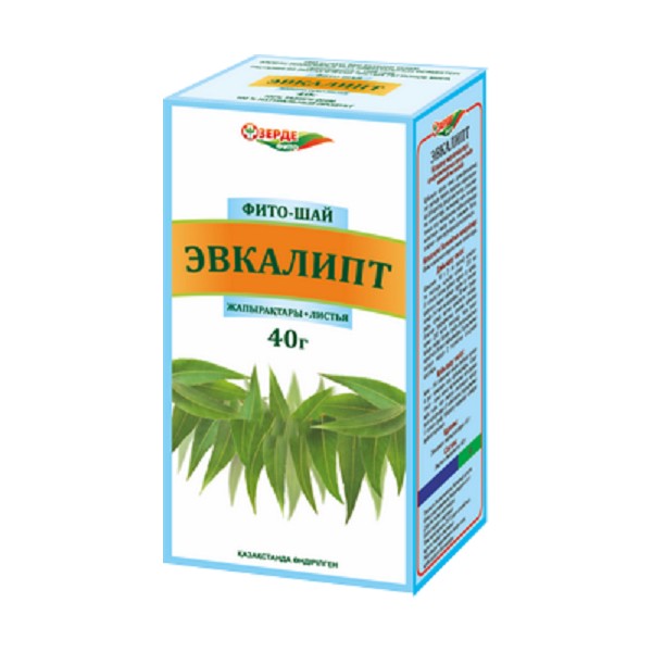 Эвкалипт листья