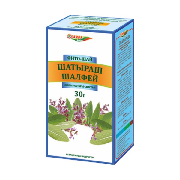 Шалфей листья