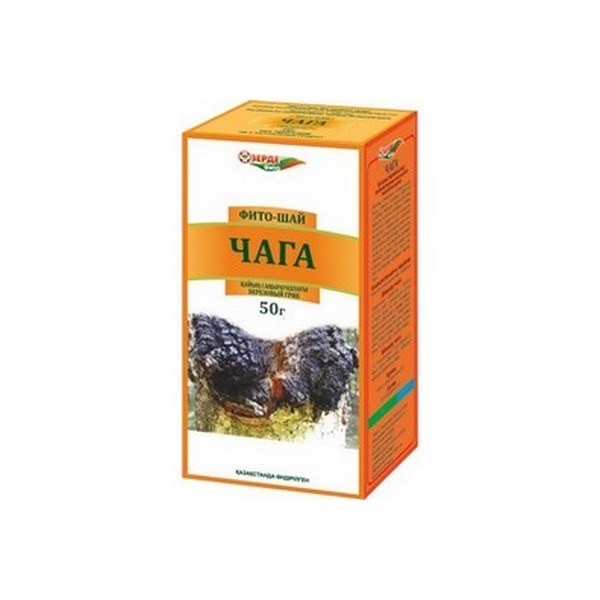 Чага (березовый гриб)