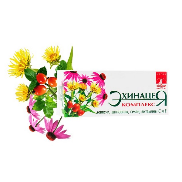 Эхинацея комплекс