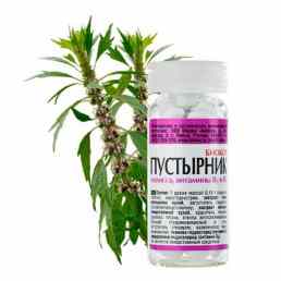 Пустырник