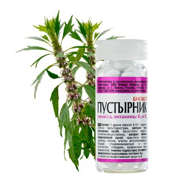 Пустырник