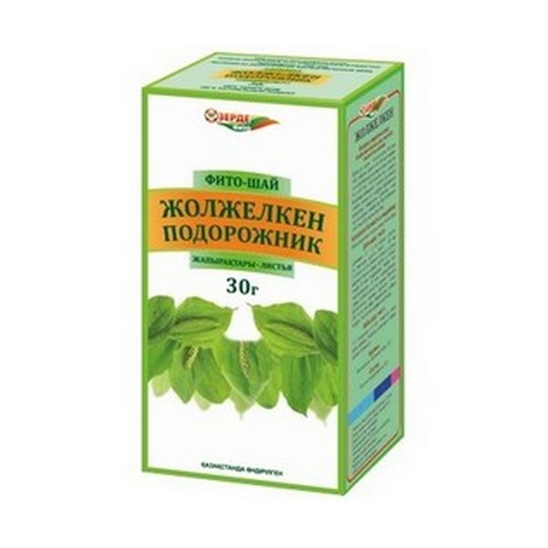 Подорожник листья