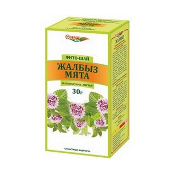 Мята листья Зерде