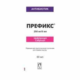 Префикс