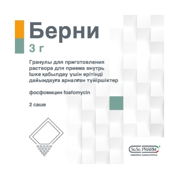 Берни
