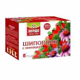 Шиповник с Эхинацеей