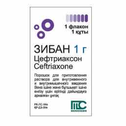 Зибан