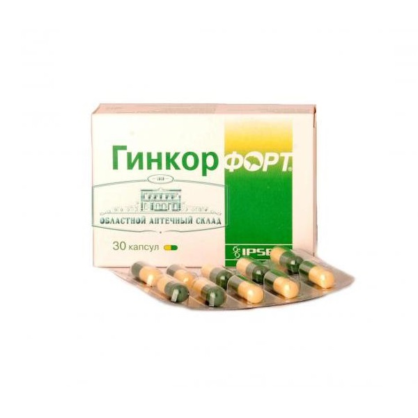 Гинкор форт