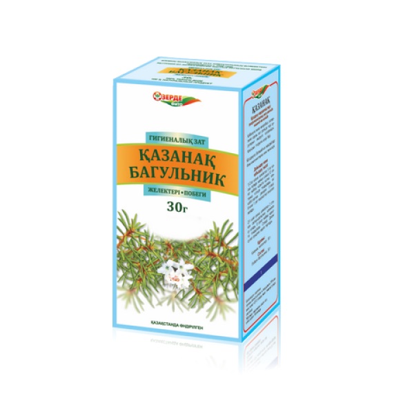 Багульник (побеги)