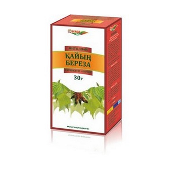 Береза (почки)