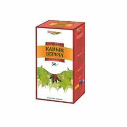 Береза (почки)