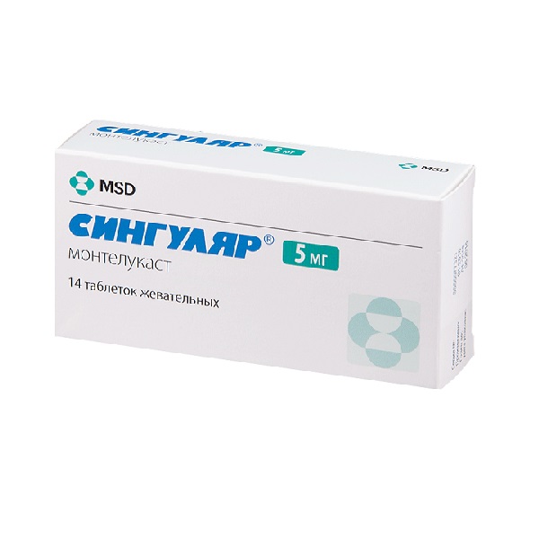 Сингуляр