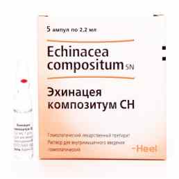 Эхинацея композитум