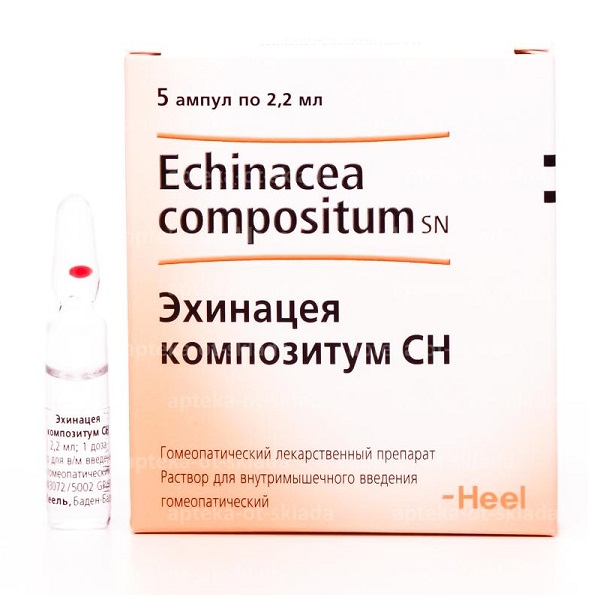 Эхинацея композитум