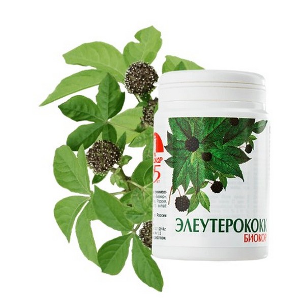 Элеутерококк