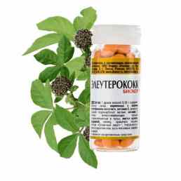 Элеутерококк