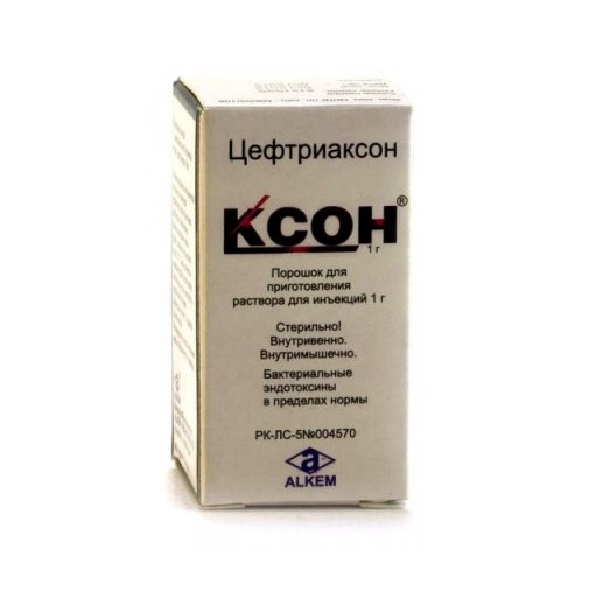 Ксон