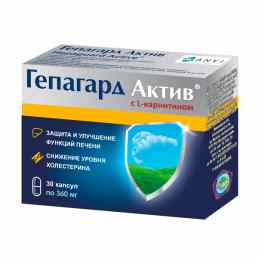 Гепагард актив