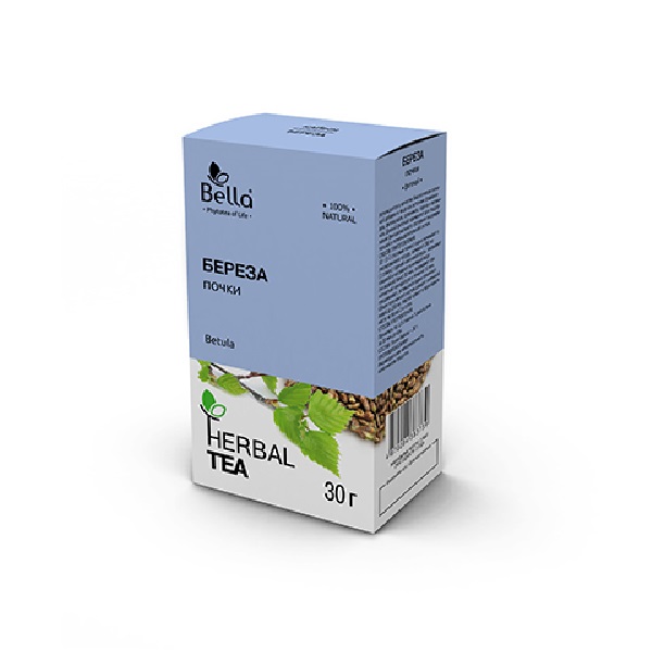 Березы почки