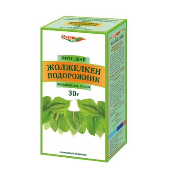 Подорожник большой