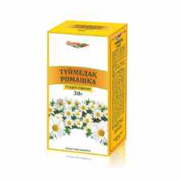 Ромашки цветки