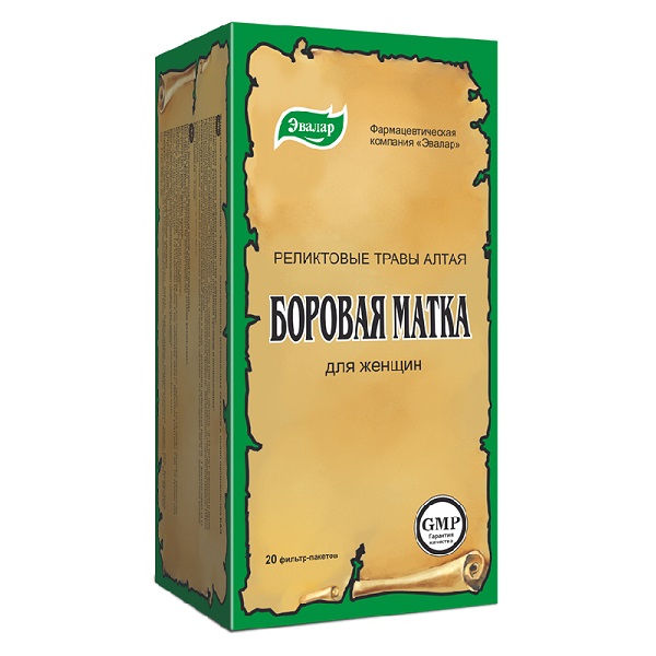 Боровая матка