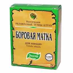 Боровая матка