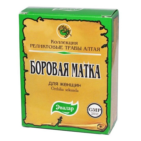 Боровая матка