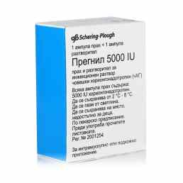 Прегнил