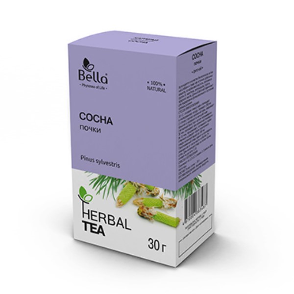 Сосны почки