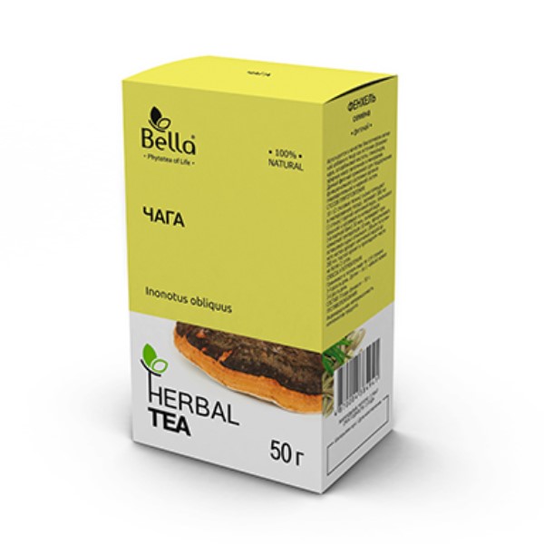 Чага (березовый гриб)