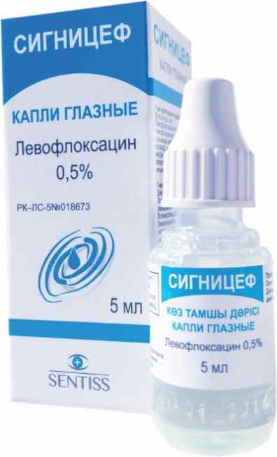 Сигницеф