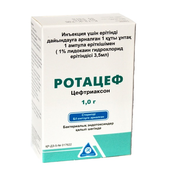 Ротацеф