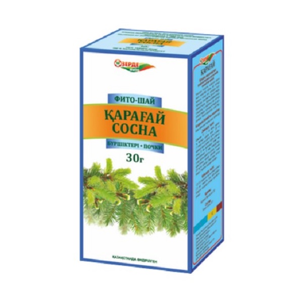 Сосна (почки)