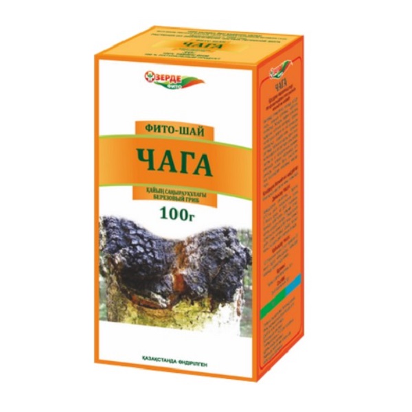 Чага (березовый гриб)