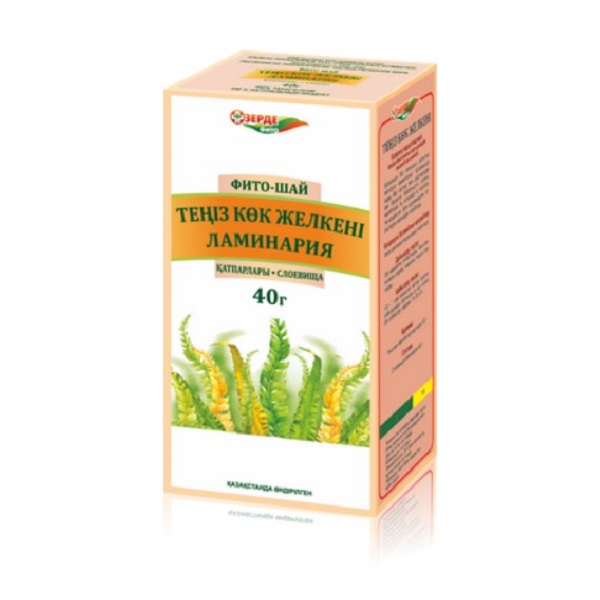 Ламинария (слоевища)