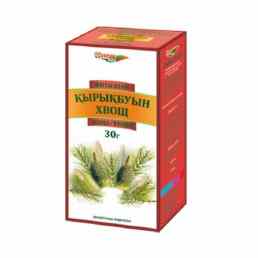 Хвощ (трава)