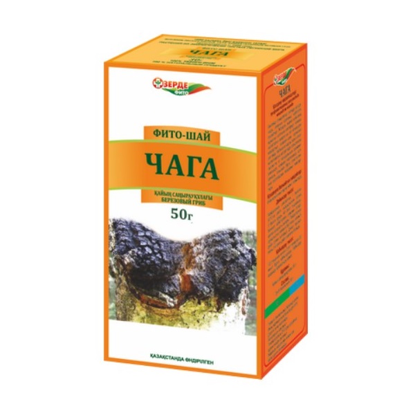 Чага (березовый гриб)