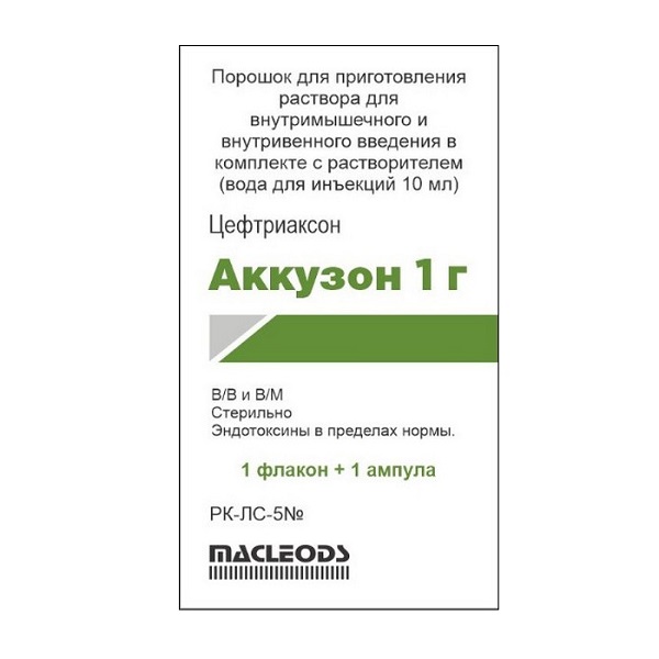 Аккузон
