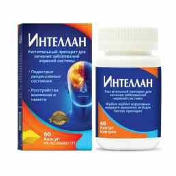 Интеллан
