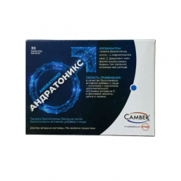 Андратоникс